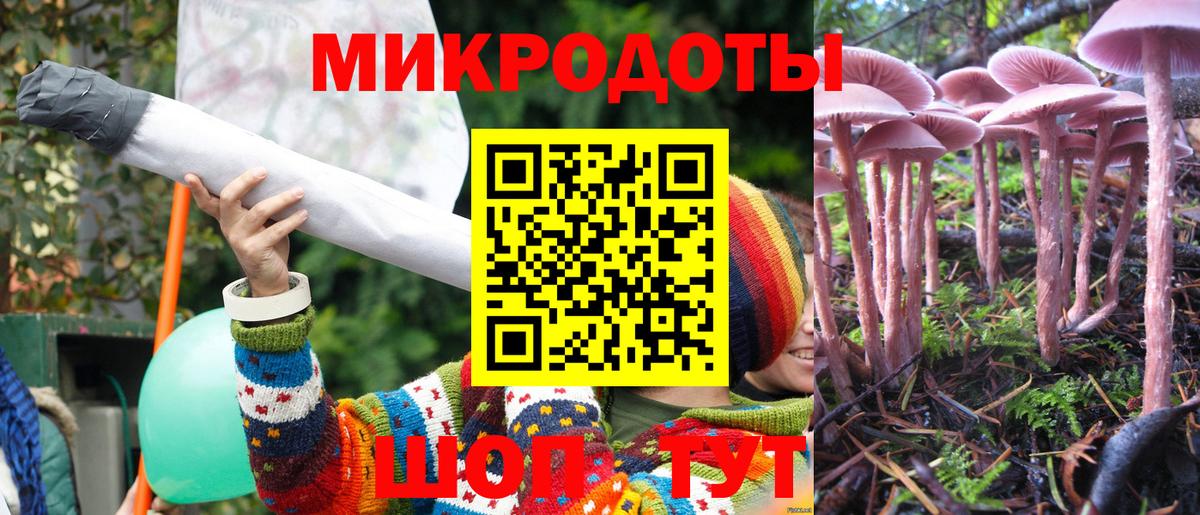 Галлюциногенные грибы Psilocybine cubensis  Вход с VPN  Кизилюрт  закладка  Галлюциногенные грибы ЛСД 